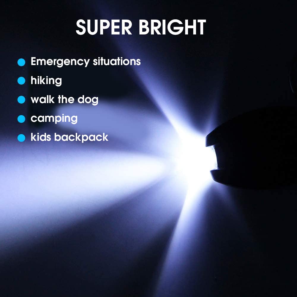 GUSTAVE Key Ring for Car and Bike with LED Light and Double Spring Buckle | Silver 3.42×0.94 in