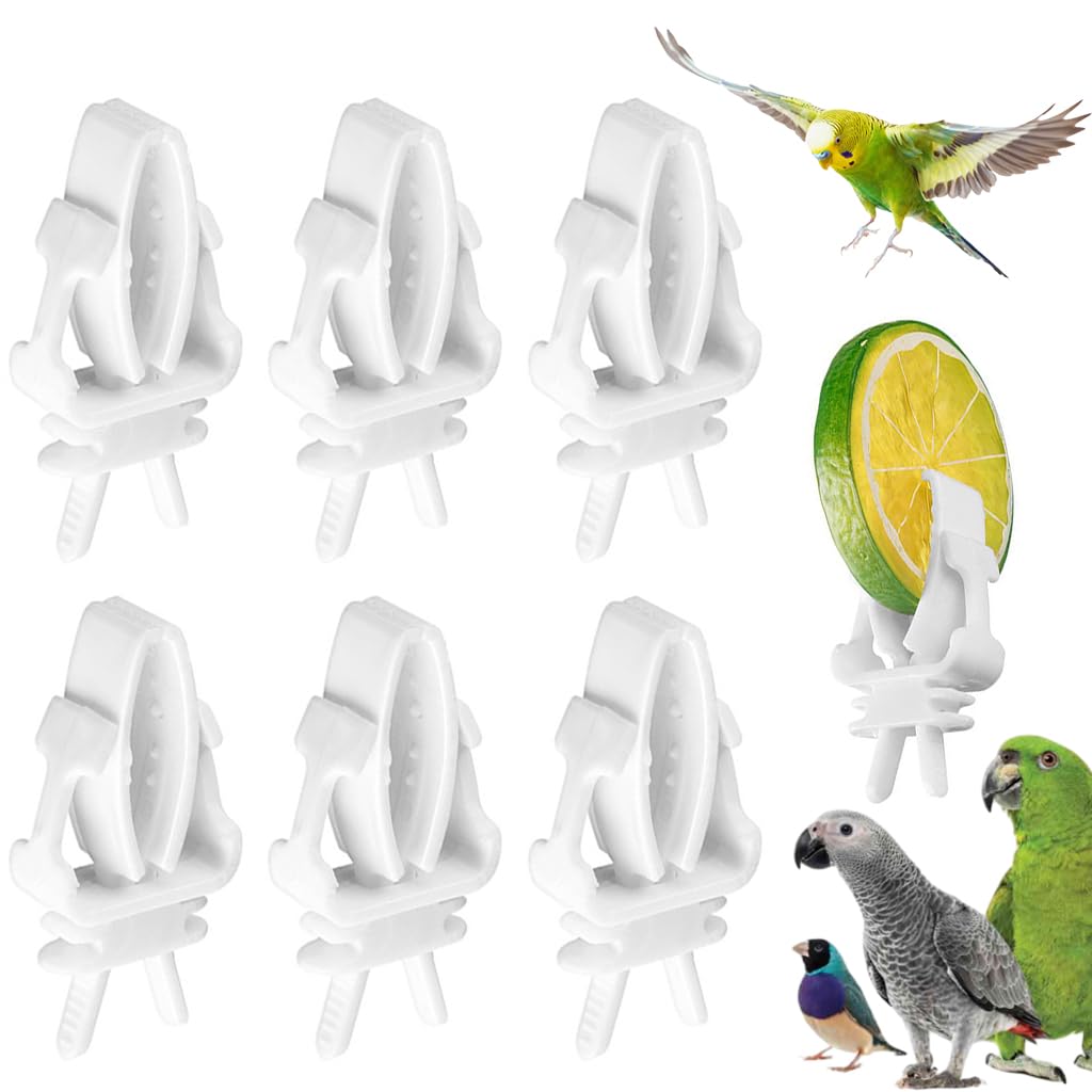 Qpets® Pet Food Clip, 6Pcs Bird Food Clips Holder for Cage Fruit Slice Clip Holder for Cage Plastic Bird Food Clip for Fruit Slices, Vegetable Leaf, Stem