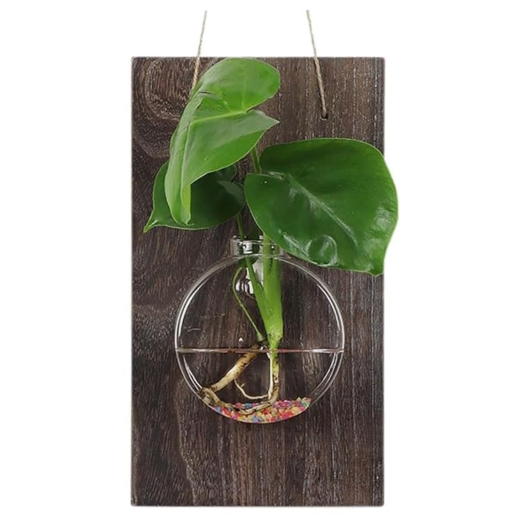 HASTHIP® DIY Glass Hydroponic Kit Wall Hanging Decor, Round Glass Plant Vase with Wooden Board Background & Hanging Hemp Rope, Home Decor House Gift