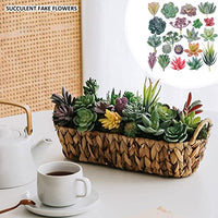 HASTHIP® 20Pcs Realistic Artificial Succulents for Home Decor, DIY Landscape Decorations Odorless, Safe for Pets Maintenance-Free, Time-Saving Versatile, Glamorous Floral Set