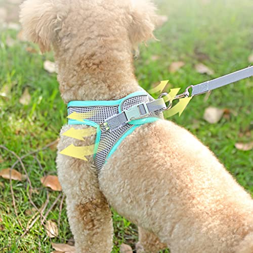 Qpets® Dog Vest Harness for Puppy with 1.5m Dogs Leash Adjustable Size Dog Vest Harness Breathable Mesh Fabric with Safety Reflective Strip Dog Harness for Dogs(M, Blue)