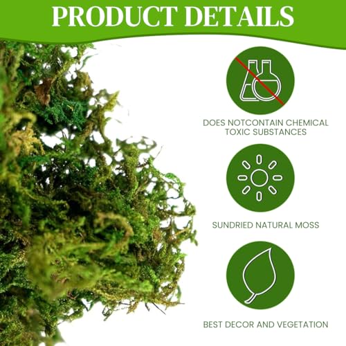 HASTHIP® Realistic Moss for Planter Decorative Fake Miniature Garden Decor 200g Dark Green 2PCS