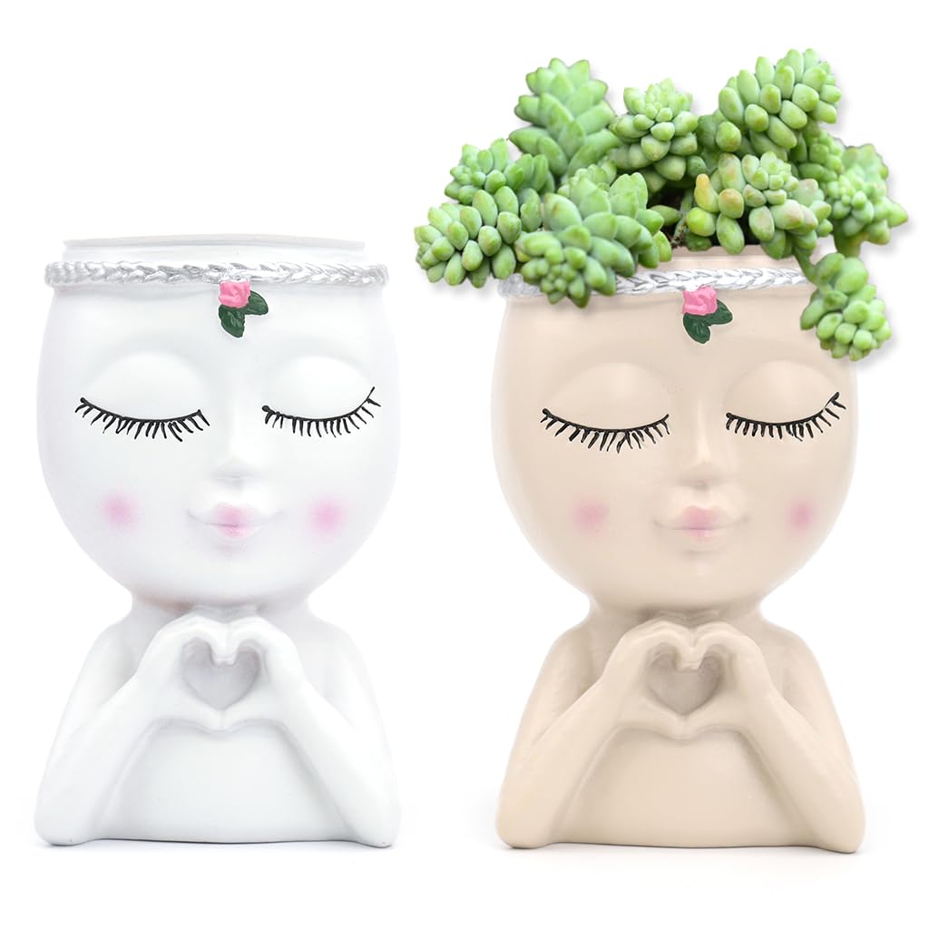ZIBUYU Desk Succulent Planters 2Pcs for Home or Office with Smile Face and Heart Hand Design