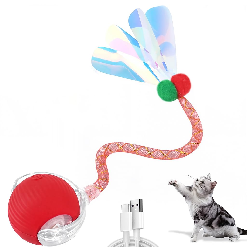 ZIBUYU Electric Cat Ball Toy for Interactive Play with 2 Speed Modes & USB Rechargeable Fun