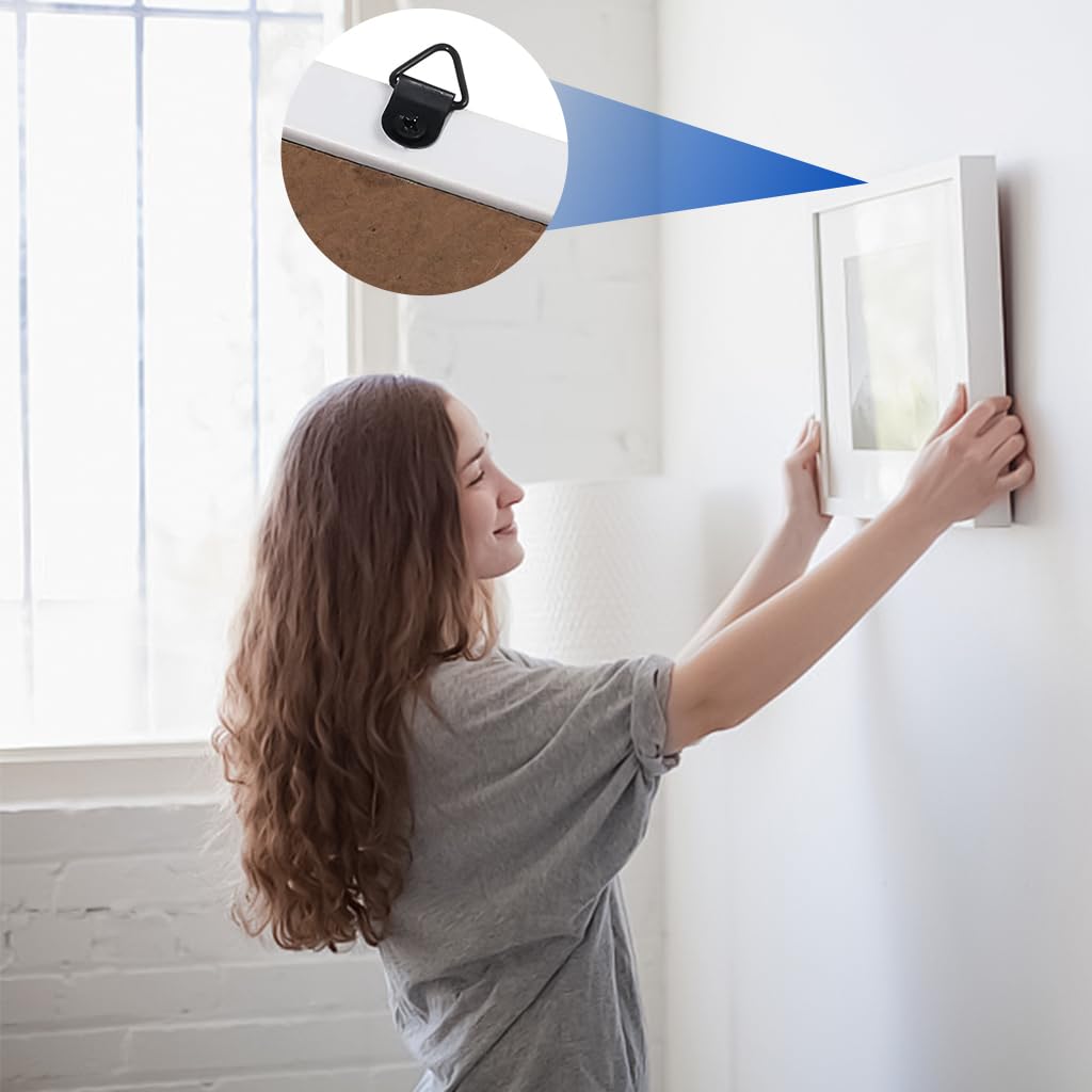 ZIBUYU Picture Hanging Kit for Artwork and Photo Frames with 251 pcs Metal Parts | Black Finish