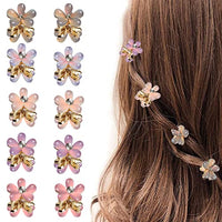 PALAY® Mini Hair Clips for Women Claw Hair Clips for Girls Decorative Hair Accessories (Multi C)