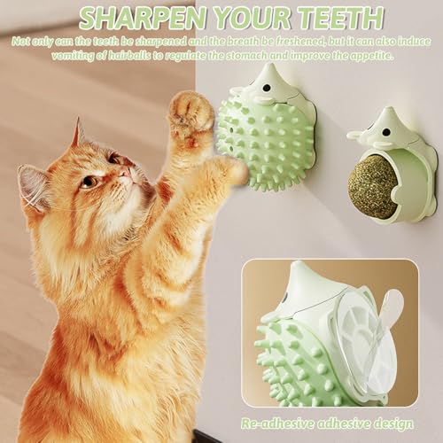 ZIBUYU® BrandName Multi-Functional Interactive Hedgehog Cat Scratcher Toy with Replaceable Catnip Ball, Self-Grooming & Licking, Dust & Moisture Resistant, Wall/Floor Stick, Green, for Indoor Cats