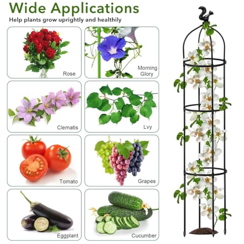 HASTHIP 120CM Trellis for Climbing Plants, Plastic Climber Support for Plants, Adjustable Connectable Round Plant Support Sticks, Plant Support for Climbers, for Clematis, Roses, Tomatoes, Ivy