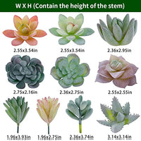 HASTHIP® 20Pcs Realistic Artificial Succulents for Home Decor, DIY Landscape Decorations Odorless, Safe for Pets Maintenance-Free, Time-Saving Versatile, Glamorous Floral Set