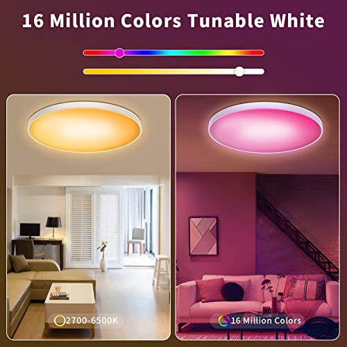 ELEPHANTBOAT® Panel Lights for Ceiling Lights RGBCW Led Lighting 24W Smart Surface Light 2.4G WiFi Compatible with Alexa & Google Round Concealed Lights Ceiling with Music Sync APP 16 Million Colors
