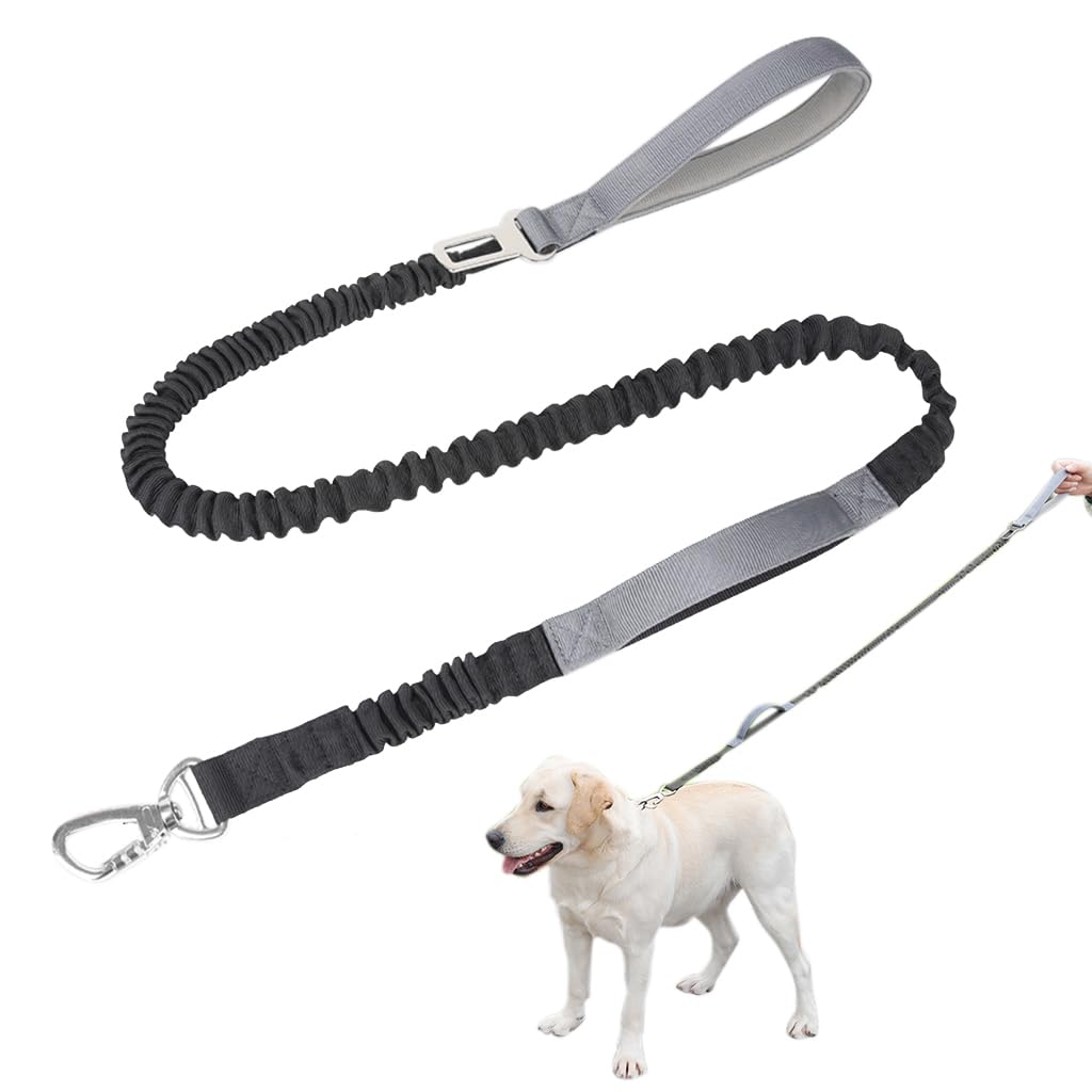 Qpets® Dog Training Leash, Dog Leash Pet Belt with Sponge Handle for Dog, Nylon Bungee Pet Leash for Samll Medium Large Dog - Natural 1.25m/Stretching 1.9m