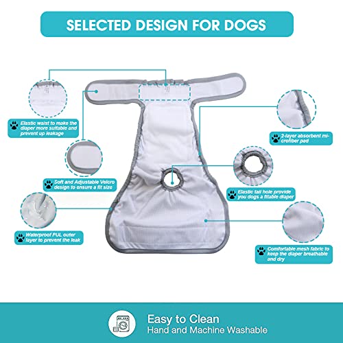 Qpets® Diaper for Dogs Female, 2 Pack Pet Use Soft Reusable Dog Diapers, 160ml Water Absorbption Comfort Doggy for Dogs & Puppy (L, Recommended Waist 19-27 inch) 2PCS