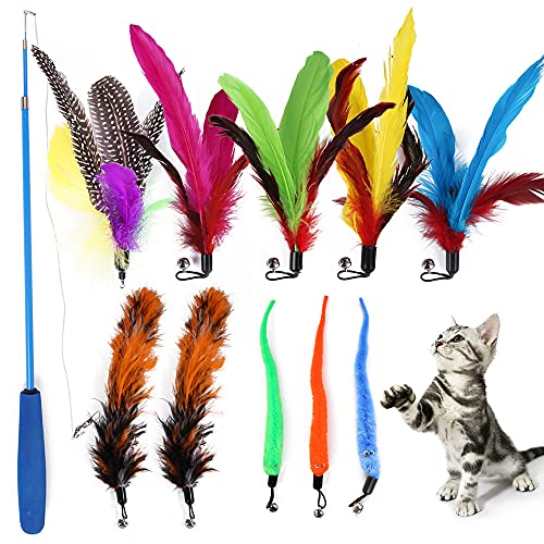 Qpets® 12PCS Cat Toys 2 Retractable Cat Wand Toys and 10PCS Replacement Teaser with Bell Refills Interactive Toys Catcher Teaser and Funny Exercise Feather Toys for Kitten Cats Pet