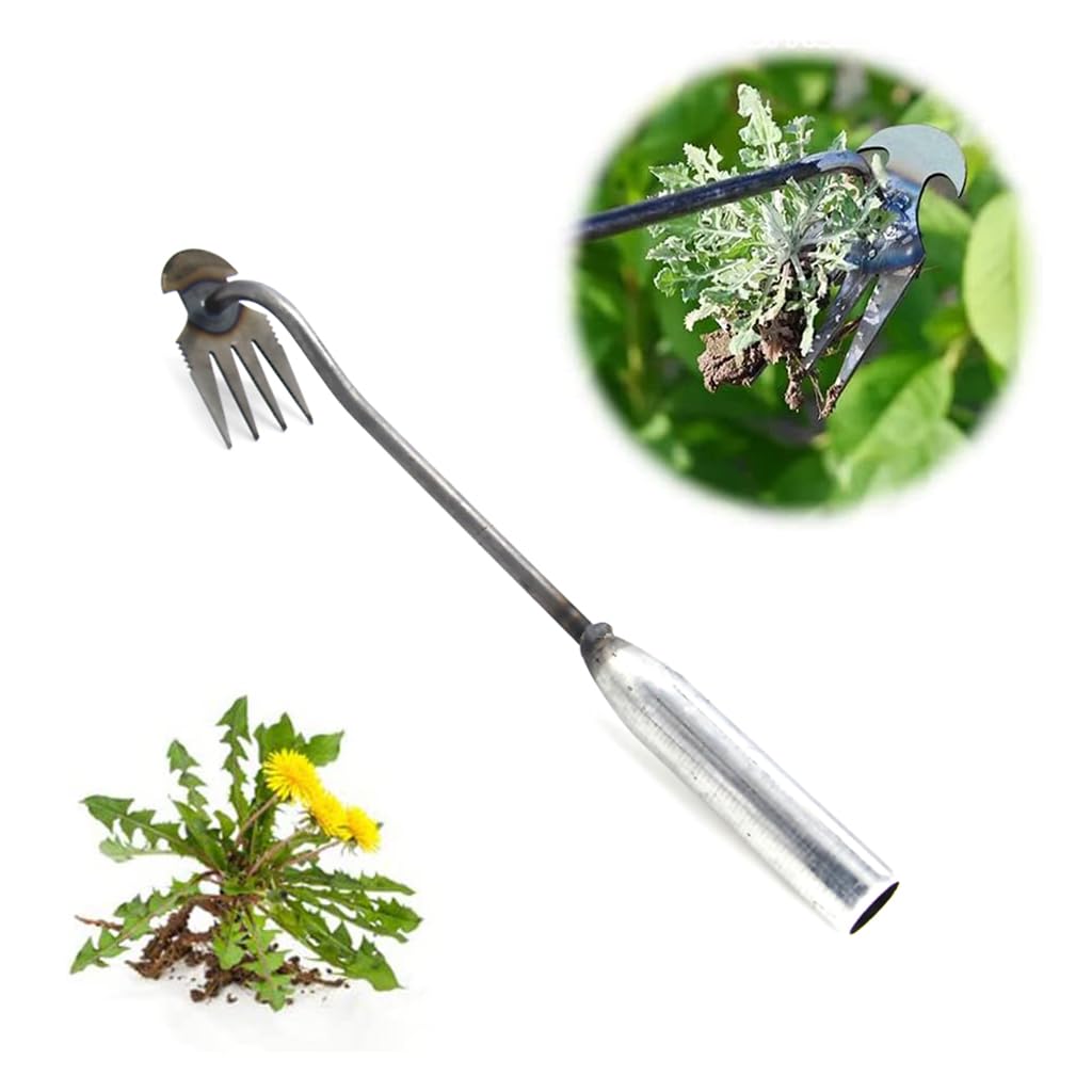 HASTHIP Weeder Hand Tool for Garden and Lawn with 21.6 in Steel 4 Claws Design | Manual Weed Puller