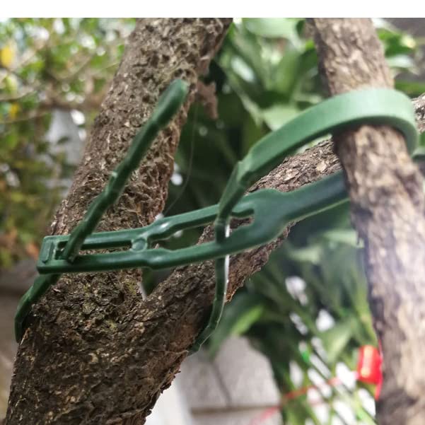 HASTHIP Gardening Plant Ties for Organizing and Labeling | 250pcs 5.9 in Adjustable Nylon