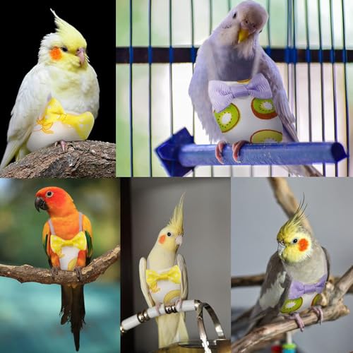 ZIBUYU® Bird Diaper Parrot Washable Diapers, Parrot Flight Suit, Reusable Nappies for Parakeet Cockatiel Mini Macaw Budgie Canary 2 Pcs
