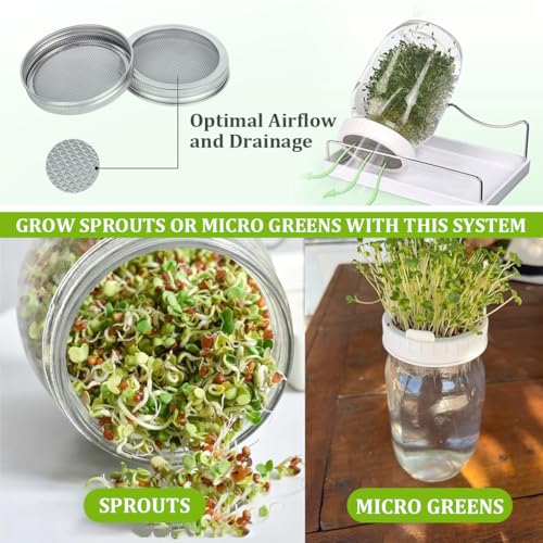 HASTHIP® Seed Sprouting Jar Kit Bean Sprouts Maker 32OZ Glass with Ventilation Mesh Screen Lids Light Shield Brush for Homemade Edible 2 PCS