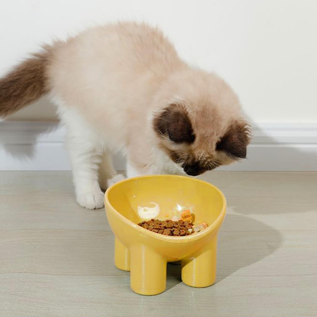 Qpets Elevated Cat Bowl with 3.5 in Raised Stand and Whisker-Friendly 5.4 in Design | PP Safe Anti-Tip Feeder