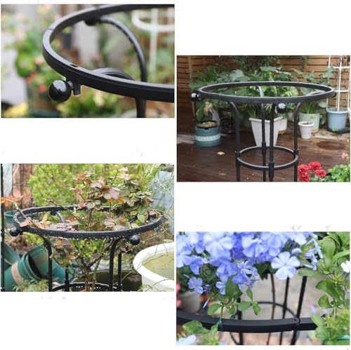 HASTHIP® Metal Garden Trellis for Climbing Plants Vertical Plant Support with Hollow Roof Design Rust-Proof Indoor Outdoor Use for Potted Vegetable Flowers Vine Dia 20cm Height 90cm 3 PCS