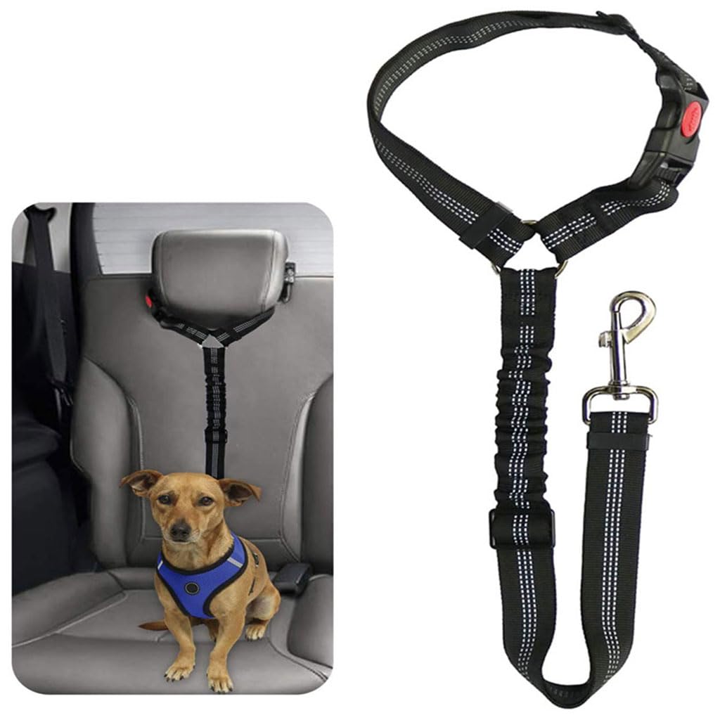 Qpets Dog Safety Harness for Car with 360° Swivel Buckle and Reinforced Nylon Strap | Adjustable Bungee Leash for Travel