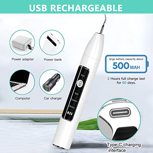 HANNEA® Ultrasonic Plaque Remover Electric Plaque Remover with 480P Camera, 3 Working Modes, Cordless Electric Plaque Remover with 2 Bits and Oral Mirror, Remove Teeth Stain Tartar Plaque Calculus