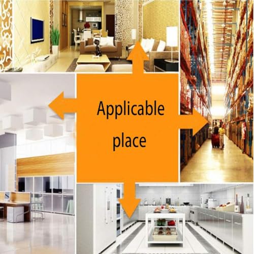 HASTHIP® 12PCS Rat Traps House Garden Patio