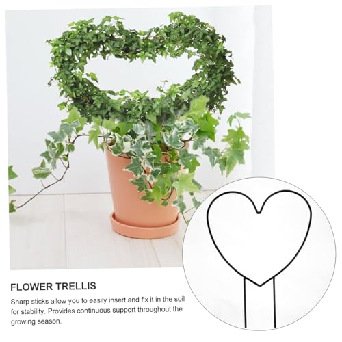 ZIBUYU® Climbing Plants