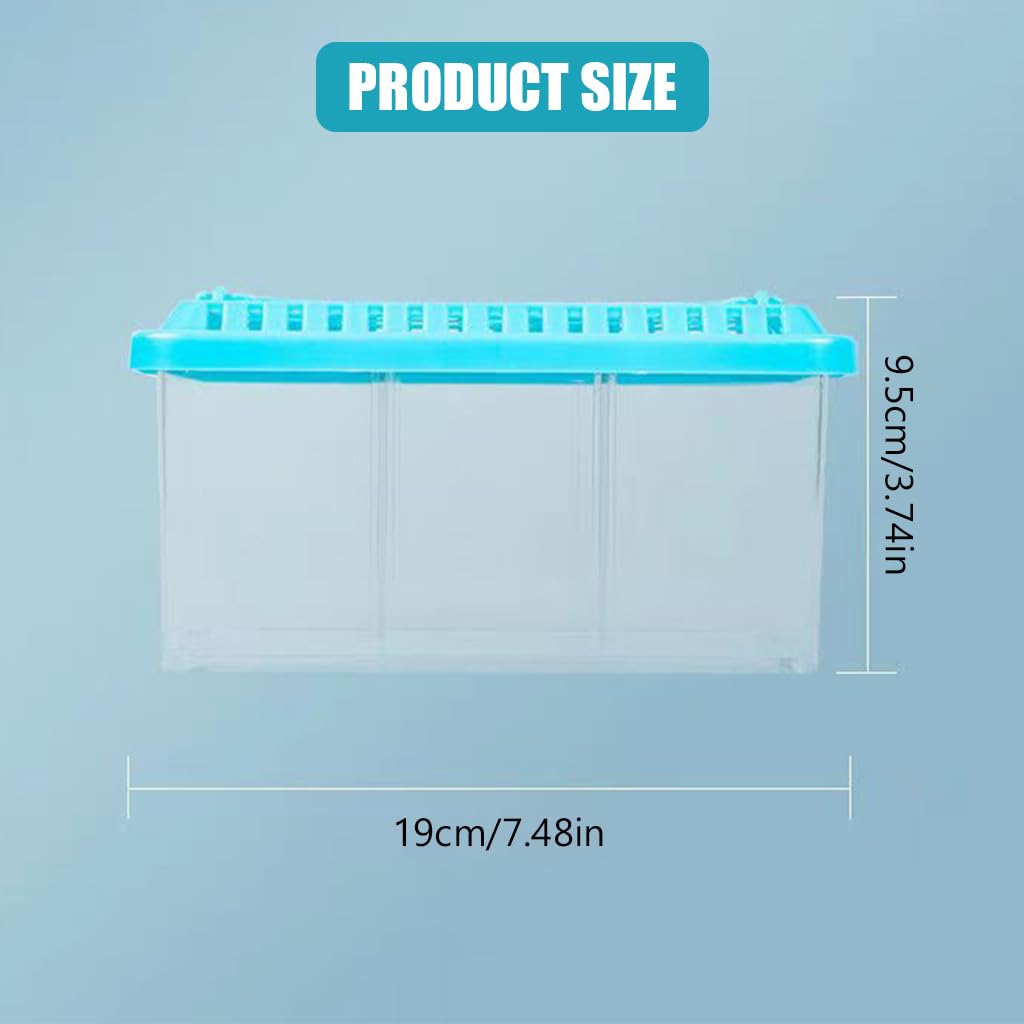 Qpets Mini Desk Fish Tank for Home or Office with 3 Layer Dividing Inserts and Air Lid | Clear Acrylic 9.5×19 cm