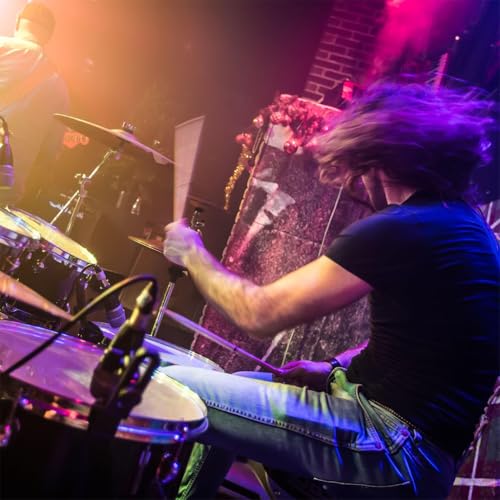 HASTHIP® 1 Pair Drum Brushes Retractable Wire Sticks 2PCS