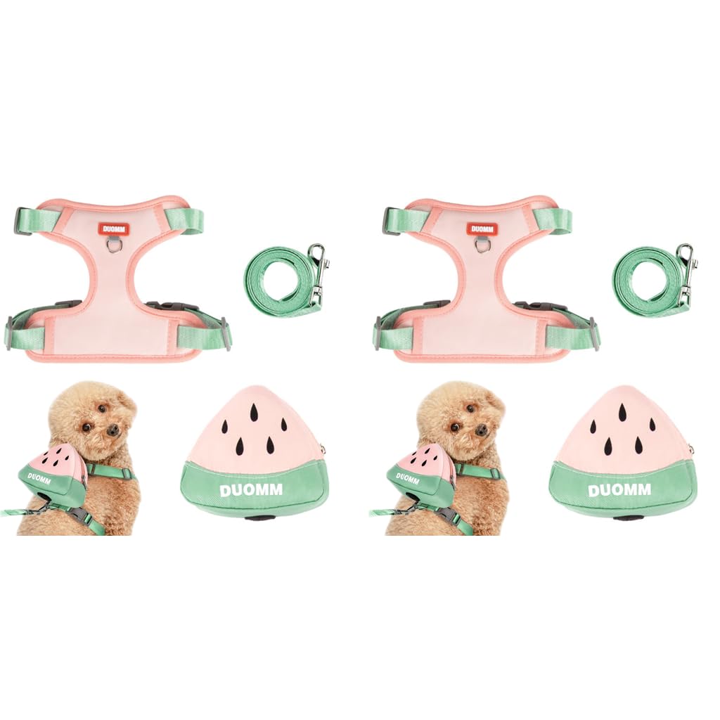 Qpets Dog Harness Vest for Small Pets featuring Removable Zipper Pouch and 4 Way Adjustment | Includes Leash 2PCS