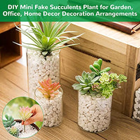 HASTHIP® Artificial Succulent Flowers Plants, Mini Unpotted Decor, Stems Mixed Fake Succulents Plants, DIY Mini Fake Succulents Plant (White) -12 Pieces