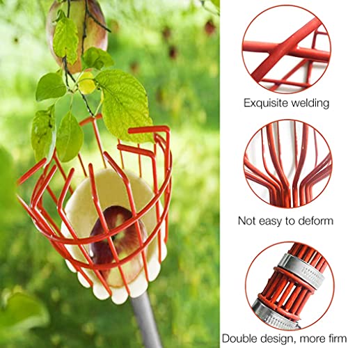 HASTHIP® 190cm Fruit Picker with Basket and Telescopic Pole, Plucker for Coconut Mango and More, Easy to Use Fruits Catcher Tree 2 PCS