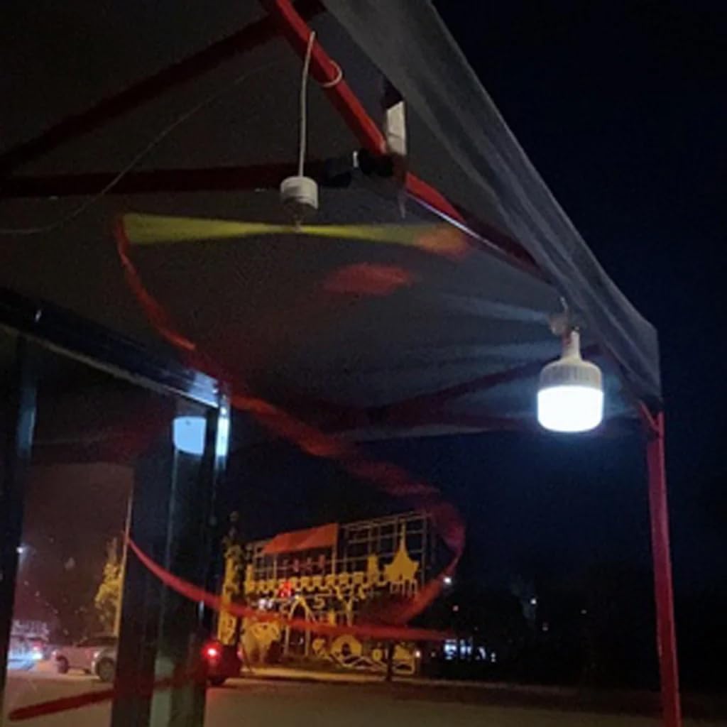 HASTHIP USB Fly Repellent Fan for Indoor and Outdoor Use with 9.8 ft Cable | Stepless Speed Adjustment and Spiral Blade Design