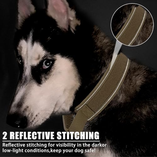 Qpets® Dog Collar Nylon Tactical Dog Collar with D Ring & Handle Adjustable Dog Collar with Reflective Safety Strip Dog Training Collar for Medium Large Dogs(XL, 20''-25.5'')