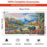 HASTHIP® 5D Diamond Painting Kit, 27.5 X 15.7inch Large Size Black Bear Diamond Painting Kits for Adults, DIY Full Drill Crystal Rhinestone Arts and Crafts, Art Diamond Painting for Home Wall Decor