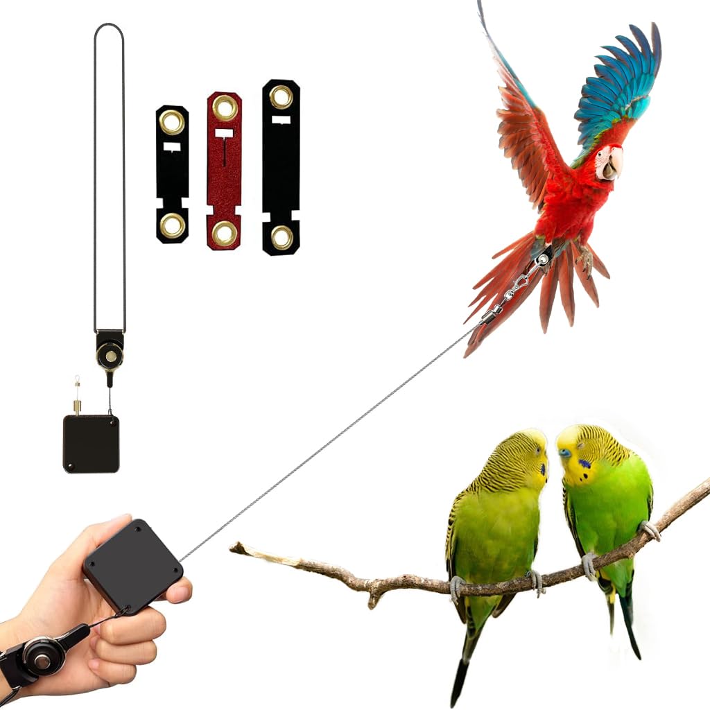 Qpets® Bird Leash, 6.6ft Parrot Leash Birds Leash with 3 Sizes Feet Loops Retractable Bird Leash Stainless Wire Bird Leash Reel Case Outdoor Bird Aviator Leash for Parrot, Budgerigars