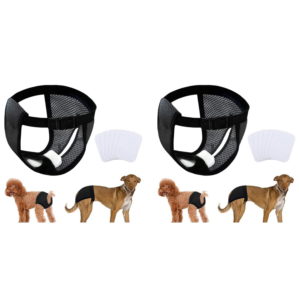 Qpets Dog Diapers for Female Puppy with 3 Absorption Cotton Pads and Breathable Mesh | 2 PCS L 15.7–19.2 in