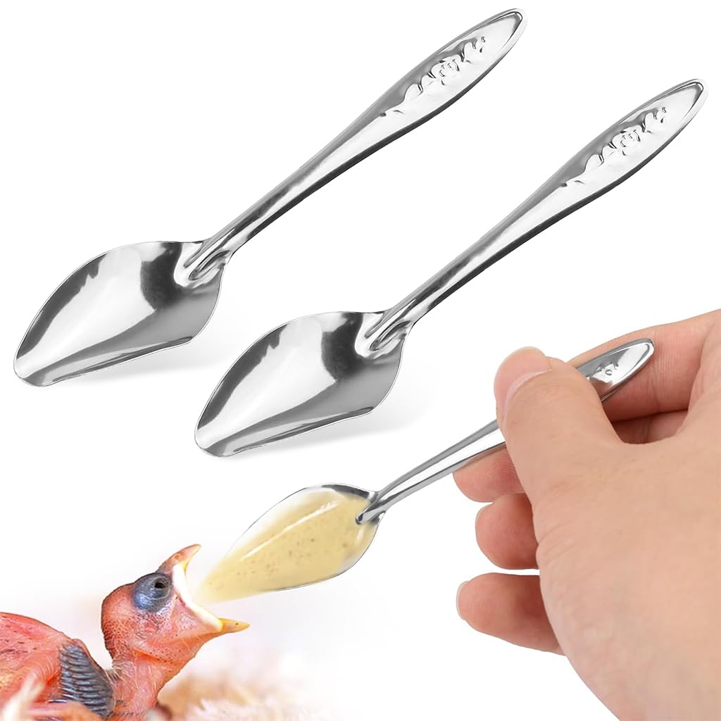 Qpets Hand Feeding Spoons for Baby Birds with 4.72 in Narrow Tip Stainless Steel Design | 2 Spoon Set