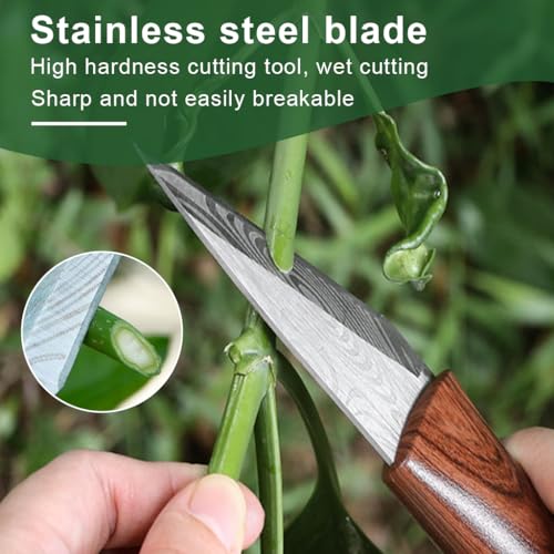 HASTHIP® Grafting Tool & 2 Rolls Grafting Tape-Wooden Handle Stainless Steel Grafting Cutter with Sheath, Portable Gardening Grafting Cutter Grafting Tool for Fruit Trees, Roses, Plants