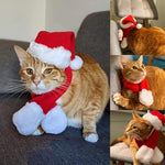 Qpets® Christmas Costume for Cat Red Christmas Hat & Scarf for Cat Christmas Dressing Accessory for Cat Puppy, M