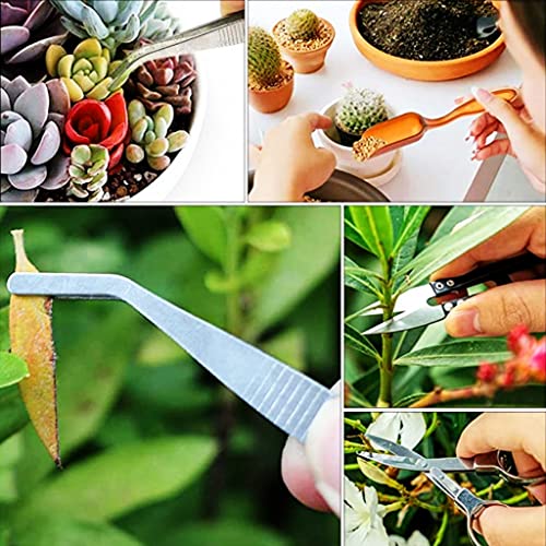 HASTHIP® 13pcs Gardening Tools Kit, Plant Tools Kit for Home Gardening Agricultural Tools for Small Plants, Transplanting, Seedling, Succulent Planting