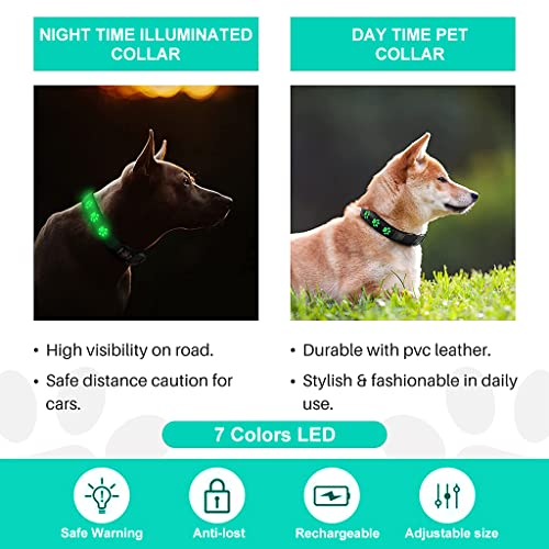 Qpets® Dog Collar for Medium Dog, 7 Colours LED Dog Collor Light Up Dog Collar USB Rechargeable Quick Release Buckle, Adjustable Size PVC Leather Dog Collar, Dog Neck Collar(Size: M)