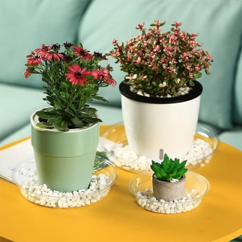 HASTHIP® Multipack Plant Pot Saucers-12psc Durable Plastic Trays in 4 Sizes (6''/8''/10''/12''), With Grooved Bottoms For Efficient Drainage, UV-Resistant Indoor & Outdoor Round Plate Set