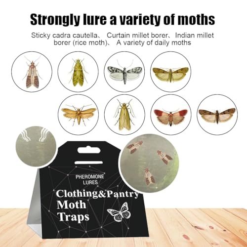 HASTHIP® 10PCS Lightweight Moth Traps Fly Killer Repellent for Home Balls and Treatment Prevention Non-Toxic Clothes Pantry