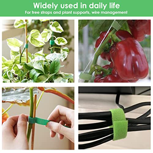 HASTHIP® 20PCS Plant Tie Strap Reusable Nylon Garden Tape Rolls Back to Back Hook and Loop for Tomato Support Tree Ties Cable Organizer 1m/roll