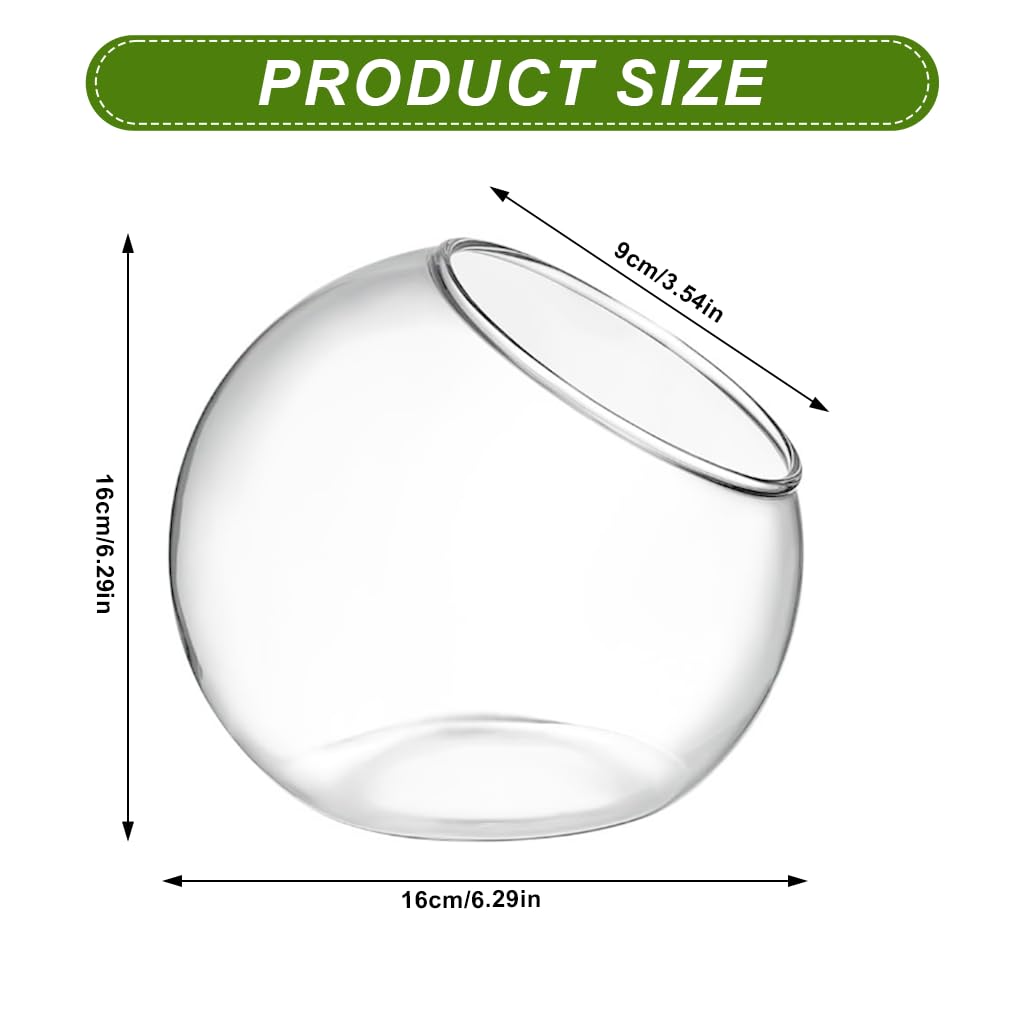 HASTHIP Glass Terrarium Container for DIY Mini Plant Display with Angled Opening | Clear Spherical Vase for Home Décor
