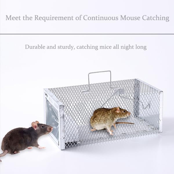 HASTHIP Rodent Trap for Kitchen and Garage featuring One Way Spring Door 28cmx14.5cmx11.5cm | Reusable Metal Cage with Handle