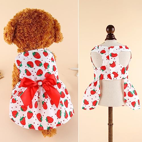 Qpets® Summer Female Dog Dress for Small Dogs Kitten Dog Clothes Clothing Cute Strawberry Bow Print Princess Dress for Puppies, Kittens, Chihuahua, Maltese, Pug, Papillon(Suitable for 3-3.5kg)