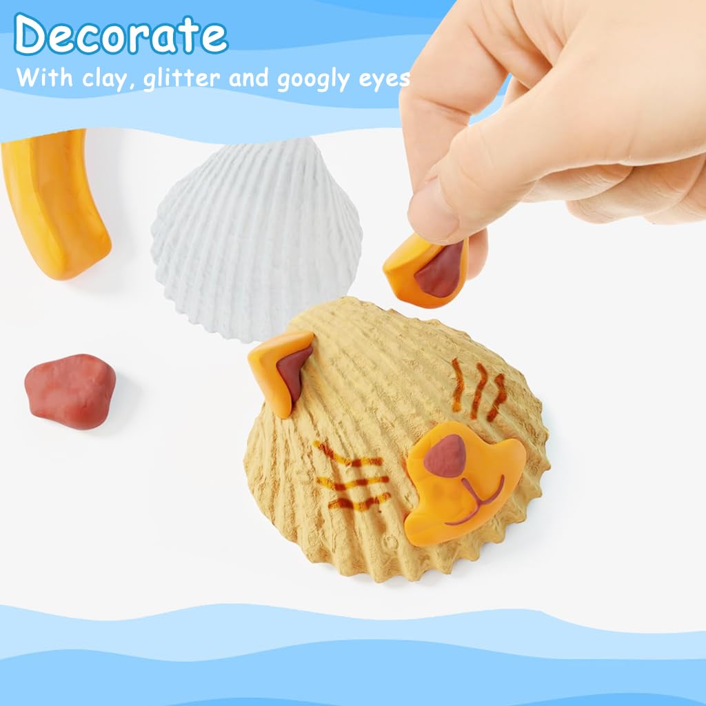 PATPAT Kids Sea Shell Painting Kit with 11 Real Shells and 8 Paints for Creative Fun | DIY Art Gift for Boys and Girls