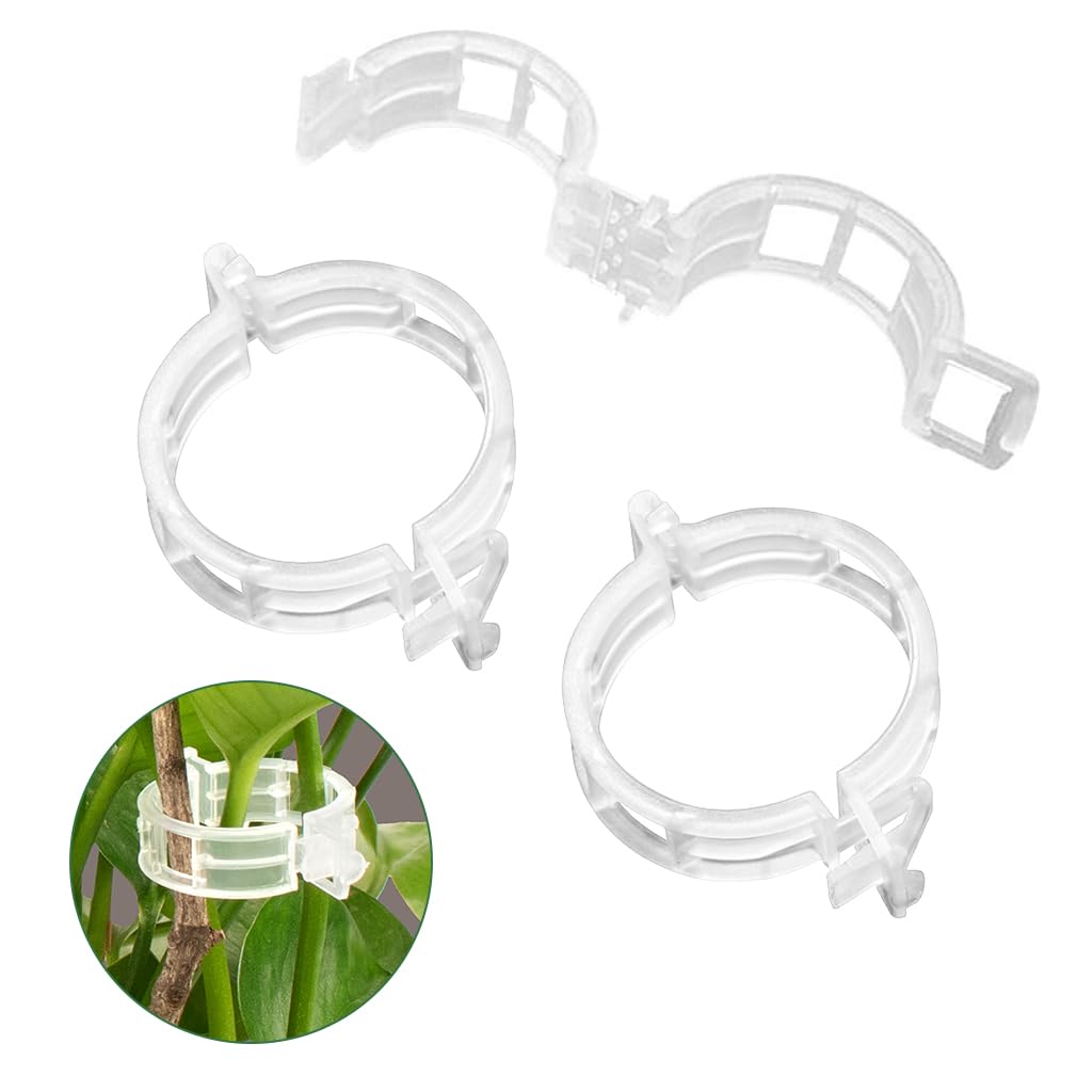 HASTHIP® 300Pcs Gardening Supportive Ring Clips - Creeper Plant Support - Plant Sticks Support for Vines Hook & Vines Climbing Clip - Plants Support Clips for Flowers, Vegetables, Plants